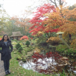 Autumn2010