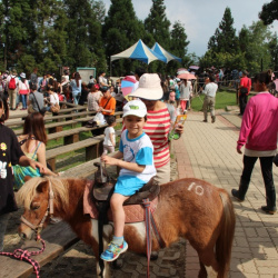 Cingjing-Farm