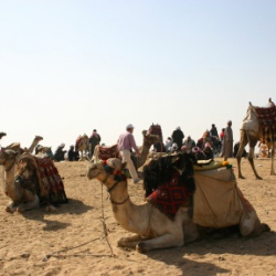 Egypt