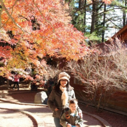 Fushoushan-Fram-see-red-maple