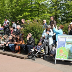 Keukenhof 2010