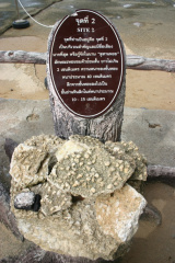 IMG 2550-la