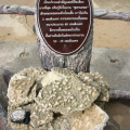 IMG 2550-la