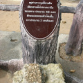 IMG 2552-me