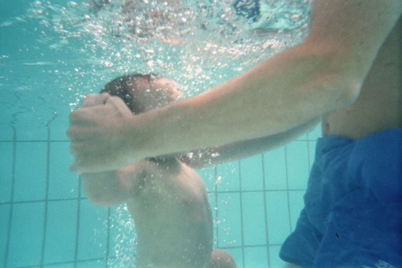 imm017_N17-la.jpg