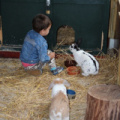 IMG 6847-me
