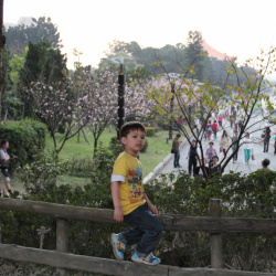 Yangmingshan-C-K-S2013