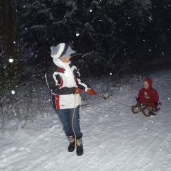 snow-december-2010