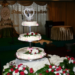weddingparty